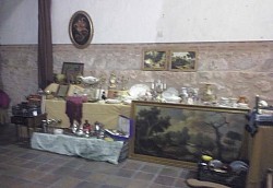 Exposiciones